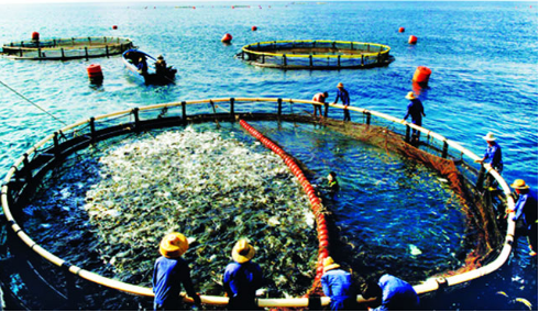 Thành phần có trong nước thải nuôi trồng thủy sản