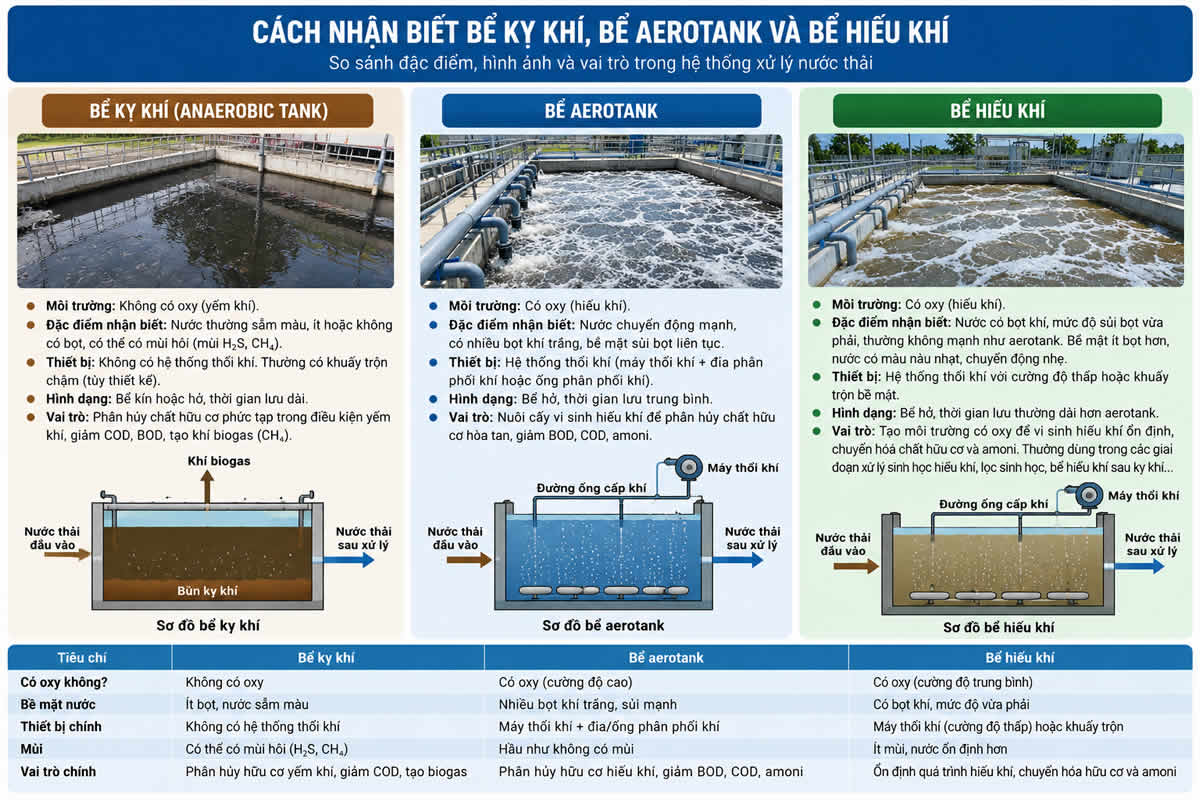 cách nhận biết bể hiếu khí kỵ khí và aerotank