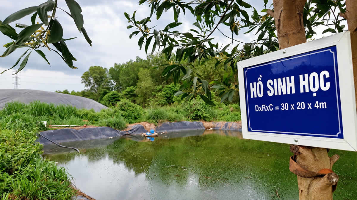 hồ sinh học xử lý nước thải