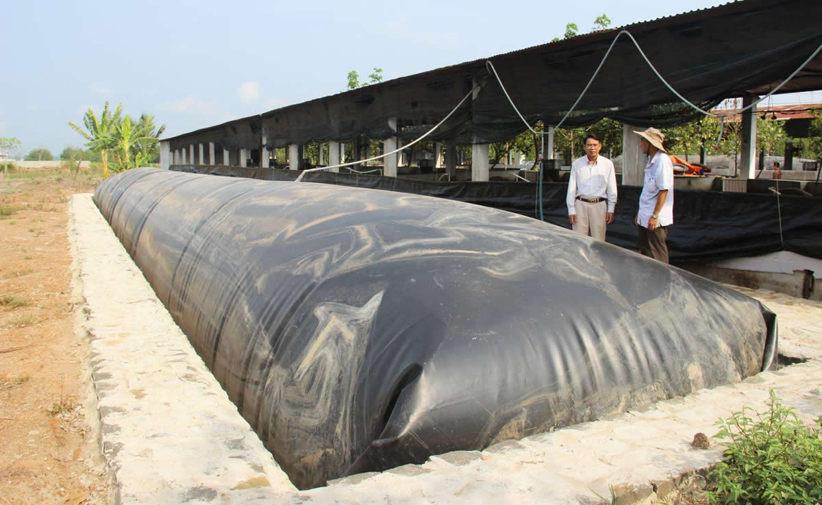 Hầm biogas xử lý nước thải chăn nuôi tại trang trại