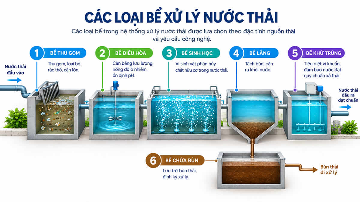Các loại bể xử lý nước thải gồm bể thu gom điều hòa sinh học lắng và khử trùng