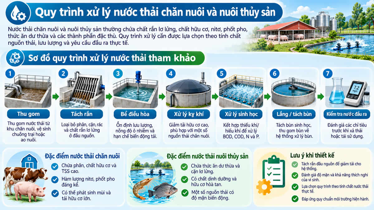 Infographic quy trình xử lý nước thải chăn nuôi và nuôi thủy sản