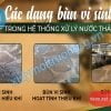 Các dạng bùn vi sinh trong hệ thống xử lý nước thải