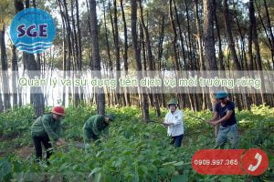Hướng dẫn quản lý và sử dụng tiền dịch vụ môi trường rừng