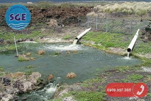 Nước thải sinh hoạt chưa xử lý