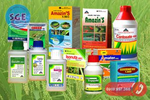 Phân loại thuốc bảo vệ thực vật