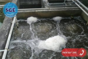 Xử lý nước thải bằng phương pháp sinh học hiếu khí