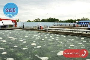 Hệ thống xử lý nước thải cao su