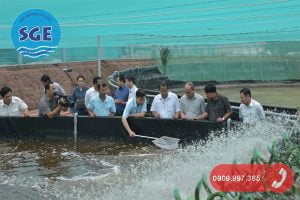 Xử lý nước thải nuôi tôm