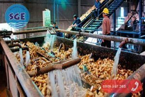 Hệ thống xử lý nước thải tinh bột sắn