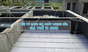 yếu tố đánh giá chất lượng của giá thể vi sinh