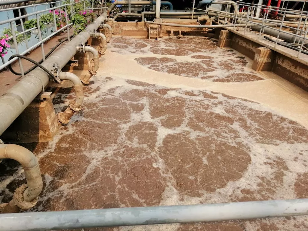 Nguyên lý hoạt động của bùn vi sinh dựa trên khả năng của các vi sinh vật có trong bùn