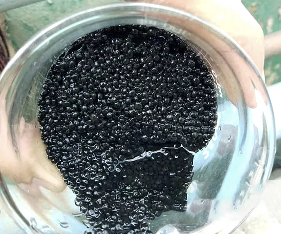 Bùn vi sinh là bùn được hình thành từ quá trình xử lý nước thải bằng phương pháp sinh học