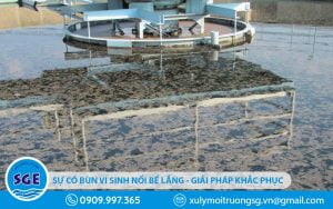bùn vi sinh nổi bể lắng