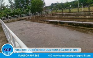Phân tích ưu điểm cùng nhược điểm của bùn vi sinh