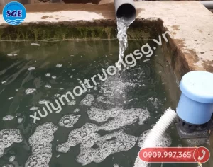 Báo giá xử lý nước thải tại quận Bình Tân