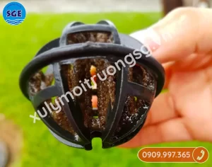 Giá thể vi sinh giá rẻ tại quận 12