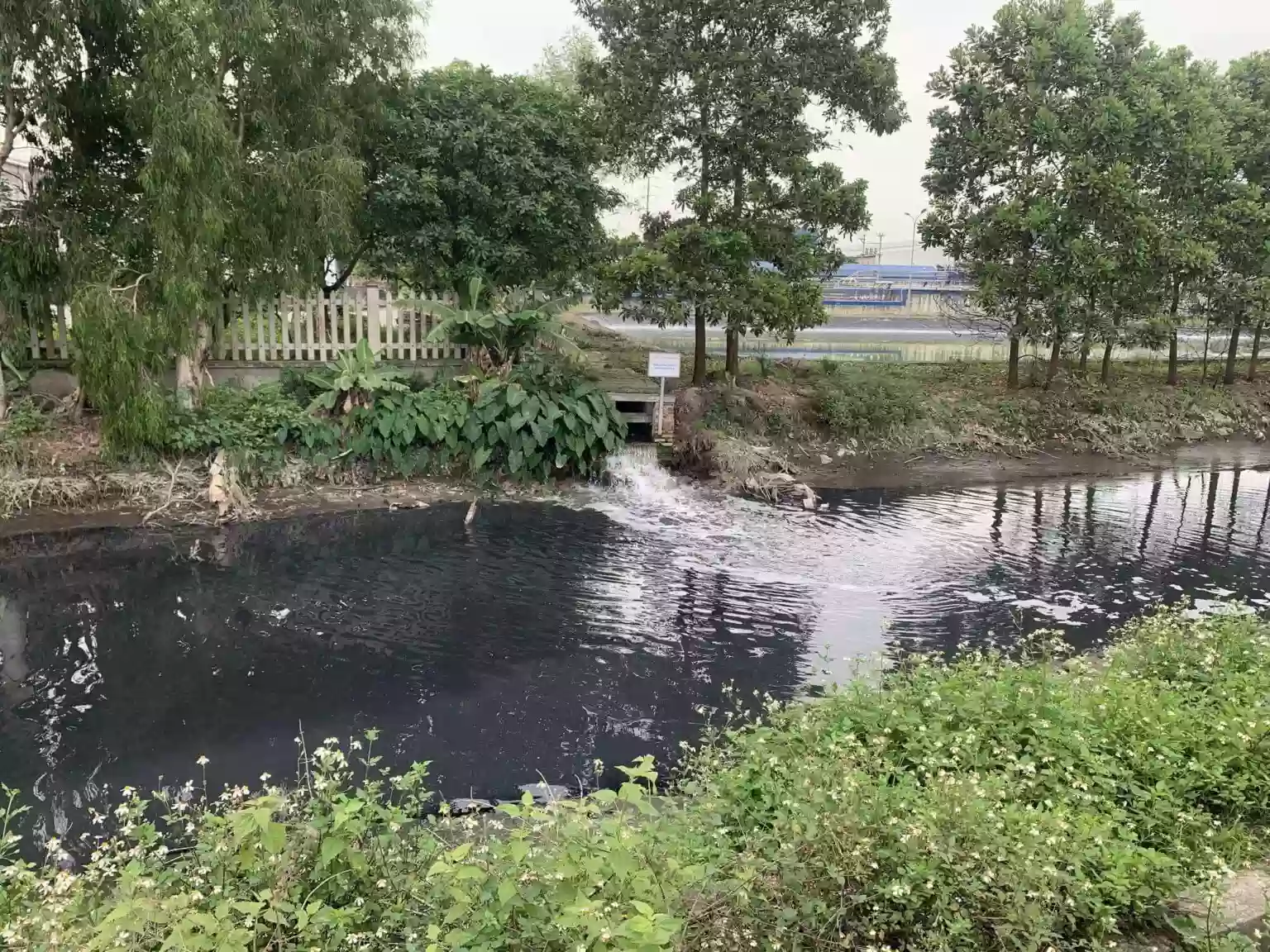 Nước thải công nghiệp có chứa nhiều chất gây ô nhiễm môi trường