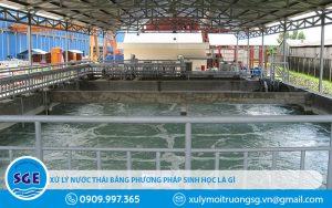 Xử lý nước thải bằng phương pháp sinh học là gì?